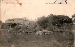 Quintenas Canton De Satillieu Lieu Dit Frachon Vache Cow Ardèche 07290 Cpa Voyagée En B.Etat - Sonstige & Ohne Zuordnung