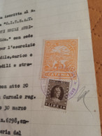 MARCA DA BOLLO LIRE 72 CAMERA  DI COMMERCIO INDUSTRIA E AGRICOLTURA 1953 - Revenue Stamps