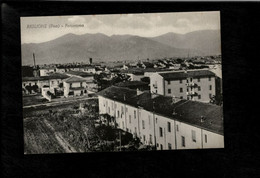 Cartolina Riglione Panorama - Pisa