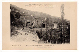 VILLEFORT -- Palhères - Alt 810m -- Route Du Mont-Lozère ...........pas Très Courante......à Saisir - Villefort