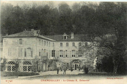 Chamouilley * Le Château E. Delacourt - Autres & Non Classés