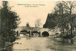 Choilley * Un Coin Du Village Et Le Pont De La Vingeanne * Abreuvoir Bovins Vaches - Other & Unclassified