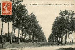 Montgeron * Avenue Du Château Conduisant à La Forêt De Sénart - Montgeron