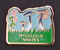 Rare Pin’s Champignon Mycologie Nantes, Mushroom, Fungo, Pilz, Champignons - Sin Clasificación