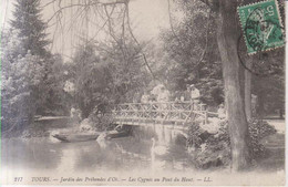 Tours Jardins Des Prebendes  D'Oe  Carte Postale Animee  1908 - Tours