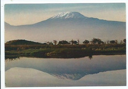 MT. KILIMANJARO IN REFLECTIVE MOOD.- TANZANIA.- ( AFRICA ) - Tanzanie