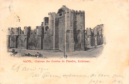 GAND - Château Des Comtes De Flandre, Extérieur. - Gent