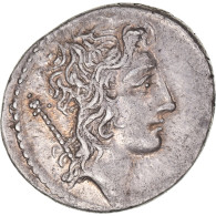 Monnaie, Cassia, Denier, 55 BC, Rome, Pedigree, SUP, Argent, Crawford:428/3 - République (-280 à -27)