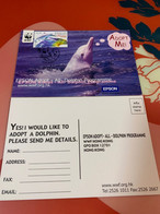 Hong Kong Stamp Card WWF Dolphin - Maximum Cards