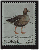 Noorwegen Norvege 1981 Gans Oie  Yv 783 O - Gänsevögel