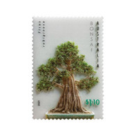 Australia 2021 Native Bonsai Plant Tree Limited Edition 3D Stamp Cover - 1 Cover (**) Odd Unusual - Storia Postale