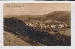 5372 SCHLEIDEN, Blick Vom Schloßberg, 1918 - Schleiden