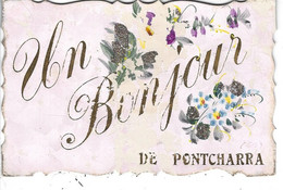 69 - PONTCHARRA - Belle Carte Fantaisie Peu Courante " Un Bonjour De " ( Paillettes , Lettres Dorées ) - Pontcharra-sur-Turdine
