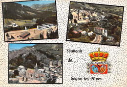 05-SEYNE LES ALPES- MULTIVUES - Autres & Non Classés