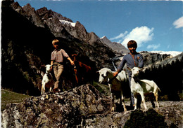 Delcampe - Geissbuben Im Gasterntal Bei Kandersteg (272) - Kandersteg