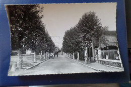 PAULHAN - Avenue De La Gare ( 34 Hérault ) - Paulhan