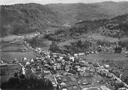 15-CHAMPS-SUR-TARENTAINE-LE BOURG VUE DU CIEL - Autres & Non Classés