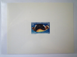 2022 - 3246  NOUVELLE CALEDONIE  :  EMISSION  LUXE  1981  CYPRAEA STOLIDA   XXX - Lettres & Documents