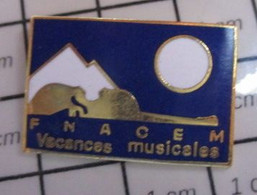 1215b Pin's Pins / Beau Et Rare / THEME : MUSIQUE / VIOLON FNACEM VACANCES MUSICALES - Musique