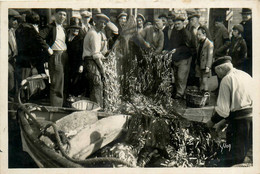 Toulon * Le Retour De La Pêche Aux Anchois * Pêcheurs Sur Les Quais - Toulon