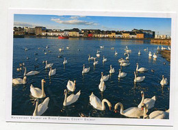 AK 066396 IRELAND - Hafenstadt Galway Am River Corrib - Galway