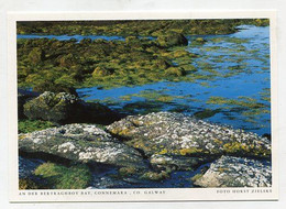 AK 066400 IRELAND - An Der Bertraghboy Bay - Galway