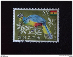 Ghana 1959-61 Oiseau Vogel Touraco Toerako Yv 51 O - Kuckucke & Turakos