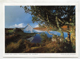 AK 066437 IRELAND - Corft Bei Casla - Connnemara - Galway