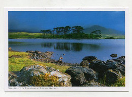 AK 066439 IRELAND - Seengebiet In Connemara - Galway