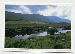 AK 066448 IRELAND - Am Erriff River - Mayo