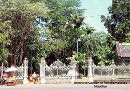 Île MAURICE : Botanical Garden Of Pamplemousse - Maurice