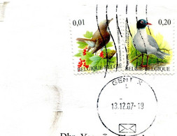 2 Enveloppen Gefrankeerd Met Vogels - Covers With Bird Stamps - Timbres Oiseaux - 0.01 - 0.20 - 0.46 Euro + Prior 0.06 - Brieven En Documenten