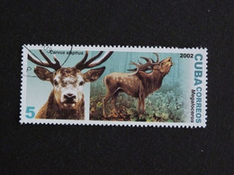 CUBA YT 4059A OBLITERE - CERF MEGALOCEROS DEER STAG PREHISTOIRE PREHISTORY - Gebruikt