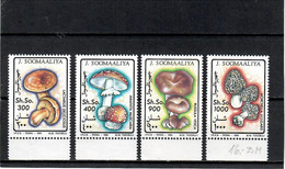 Somalia 1994 . Mushrooms. 4v. Michel # 503-06 - Somalie (1960-...)