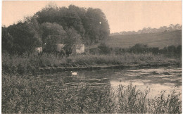 CPA - Carte Postale  Belgique-Bruxelles Auderghem Foret De Soignes Derrière Le  Rouge Cloître VM52278 - Forêts, Parcs, Jardins