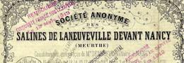 1870  Salines De Laneuveville Devant Nancy (Meurthe) Tite Nominatif Avec Cachet Et Signatures V. COTATION 80 € V.HIST. - Miniere