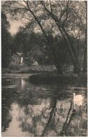 CPA - Carte Postale  Belgique-Bruxelles Auderghem Foret De Soignes - Rouge Cloître L'Ilot  VM52282 - Bossen, Parken, Tuinen