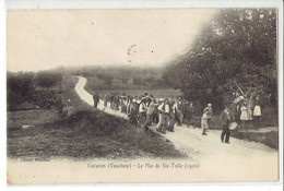 CPA 84 - CUCURON - Le Mai De Ste-Tulle 1906 - Autres Communes
