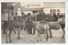 CPA 85 - CHALLANS - Le Champ De Foire Aux Bourrins - Challans