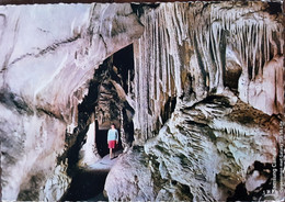Grotte De Remouchamps - Les Tuyaux D'Orgues - Aywaille