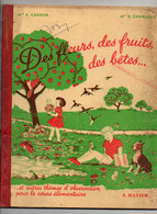 Des Fleurs Des Fruits Des Bêtes...autres Thèmes D'observation Cours élémentaire - Illustrations Jacqueline Dunoyer 1953 - 6-12 Ans