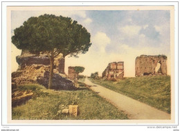 ROMA:  VIA  APPIA  ANTICA  -  FG - Parks & Gärten