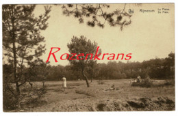 Rijmenam La Plaine De Plein De Brabantse Kempen Heide Geanimeerd Ouders & Kinderen Bonheiden ZELDZAAM (zeer Goede Staat) - Bonheiden