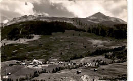 Lauenen 1259 M (13503) * 31. 7. 1954 - Lauenen