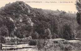 CPA - 14 - CLECY - Les Côteau Du Bô - Rivière - Paysage - Clécy