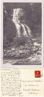 FAIDO - SVIZZERA - SCHWEIZ - SUISSE - SWITZERLAND - CASCATA DELLA PIUMOGNA - VIAGG. 1930 -84358- - Faido