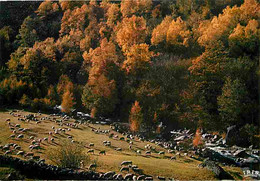 09 - Ariège - Pyrénées - Pastorale D'Automne - Carte Neuve - CPM - Voir Scans Recto-Verso - Other & Unclassified