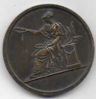 Médaille Caisse Des Ecoles Du XIe Arrondissement  1933 - Professionnels / De Société