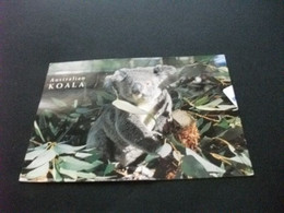 AUSTRALIA  AUSTRALIAN KOALA PIEGHE - Andere