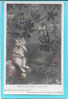 CHAT, HIBOUX, CHOUETTES - CHANT'ECLAIR - Certainement Illustration De BOULANGER - Katten